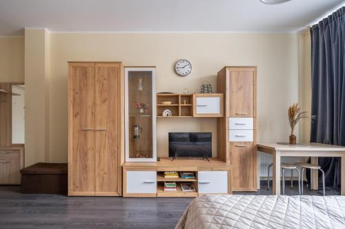 Grizinkalns studio apartments, Riga (fotografie 8)