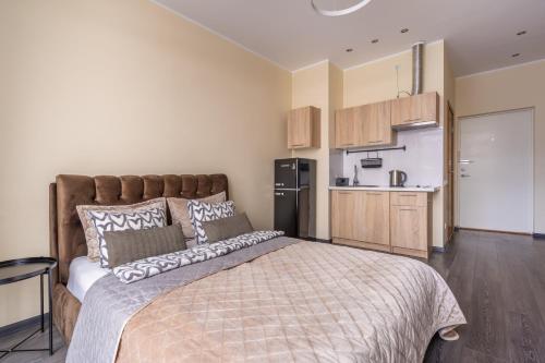 Grizinkalns studio apartments, Riga (fotografie 7)