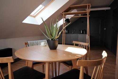 Fasilitas, Vanadziņa māja (Vanadzina maja) in Cesis