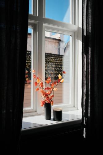 Vanadziņa māja (Vanadzina maja) in Cesis