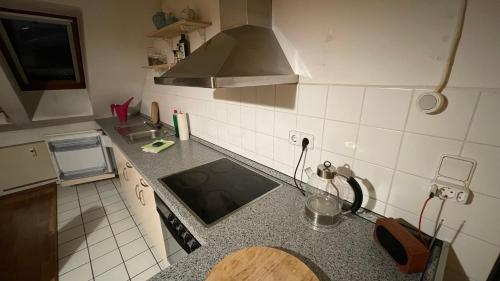 Großzügige Maisonette Wohnung über den Dächern Leipzigs