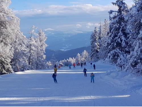 Hotel Speiereck - image 13