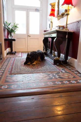 大堂, 馬拉南薩鄉村住宿加早餐旅館 (Maranatha Country House) in 布拉尼