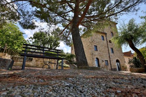Fattoria di Cinciano - image 14