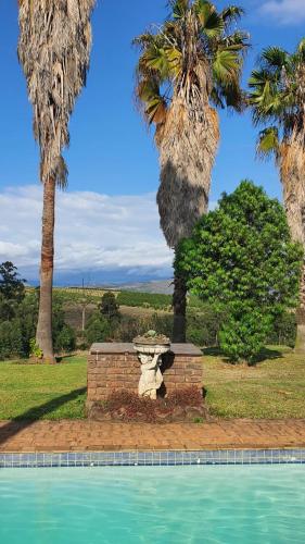Garden, KatiKati Eco Lodge in White River