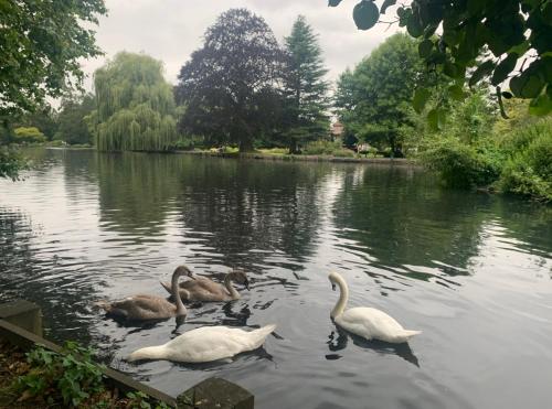 Beddington Park Lodge West 4