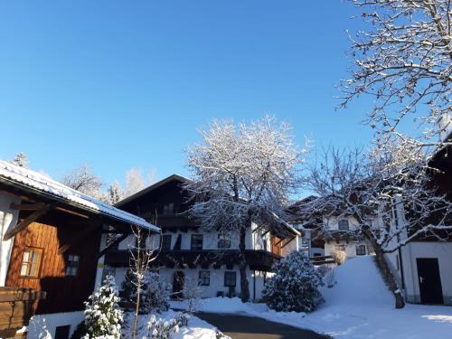 Ferienwohnung Freudensee im Bayerischen Wald - Pool, Sauna