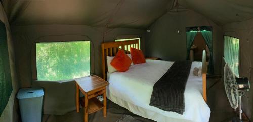 Mzsingitana Tented Camp 3