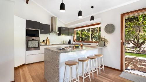 Banksia in Cambewarra