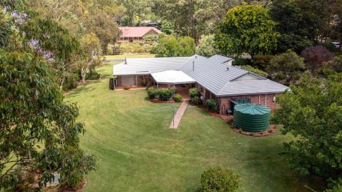 Banksia in Cambewarra