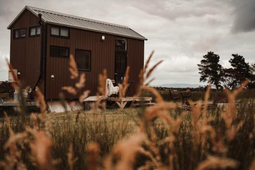 Tiny Regen Farm Stay Allendale