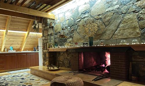 Chalet in the Forest, Kalavrita (foto 3)