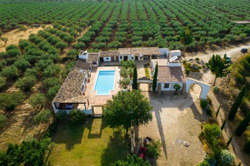  Villa Violino in Castelvetrano