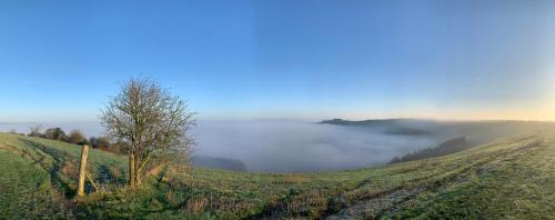 Wingmore in Swallowcliffe