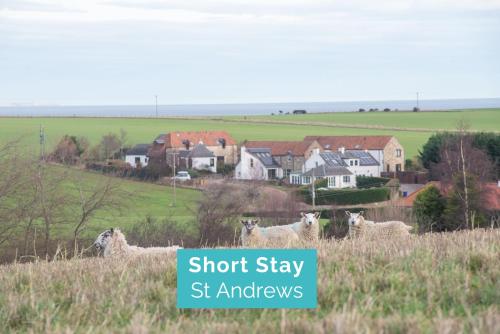 Stunning Farm Steading - 5 Mins to St Andrews - Accommodation