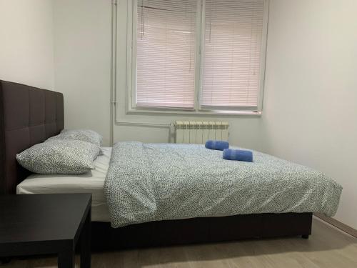 Private Rooms Belgrade Hostel