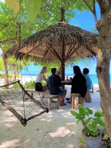 Island Host photo