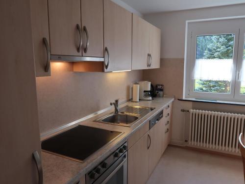 Apartment Fischer by Interhome in Eisenbach (Hochschwarzwald)