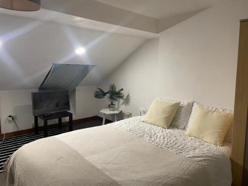 Balham, South London Spacious Guest House 6, 6 rooms available, Londýn (fotografie 3)