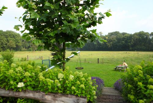 Heidehof Pension B & B - image 9