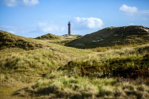 Meyer Meyer 02, Norderney (zdjęcie 6)