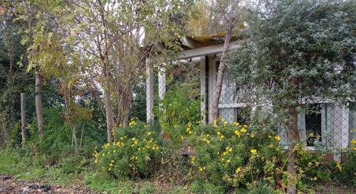 La Casa di Tara B&B Armonia e Natura