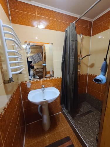 Гуцульська хата, Yaremtche (photo 4)