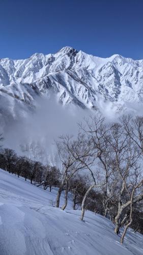 GUEST HOUSE ZU-THONES HAKUBA