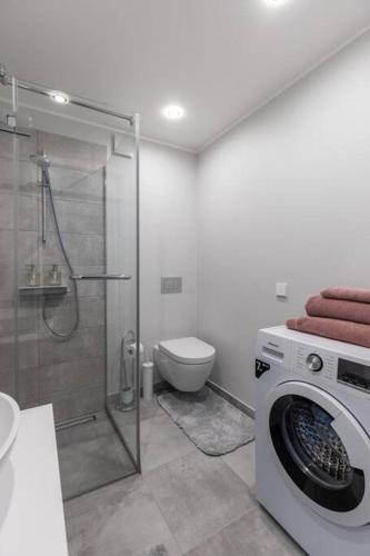 Valentina Design Studio Apartment, Riga (foto 4)