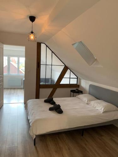 Cute apartment near Colmar