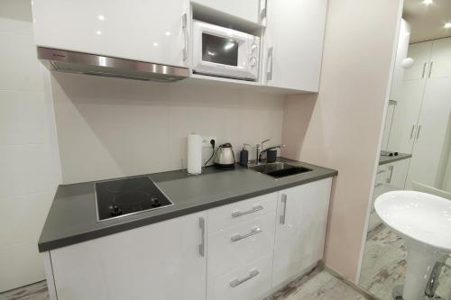 Apartment with Mountain View image 9