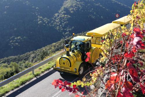 Casa Turística Viladonatus (Ribeira Sacra)