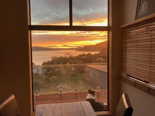 Commanding Harbour views exquisite sunset vista - Dunedin