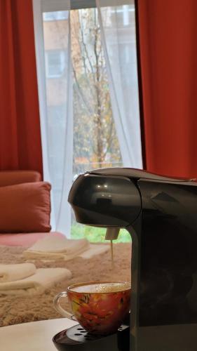 Green Terrace Family Apartment - 2 Terraces, Free Parking, NETFLIX Cinema, Breslau (Foto 10)