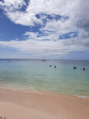 Gite pawoka à 2 min de plage du bourg de Sainte-Anne - Location saisonnière - Sainte-Anne