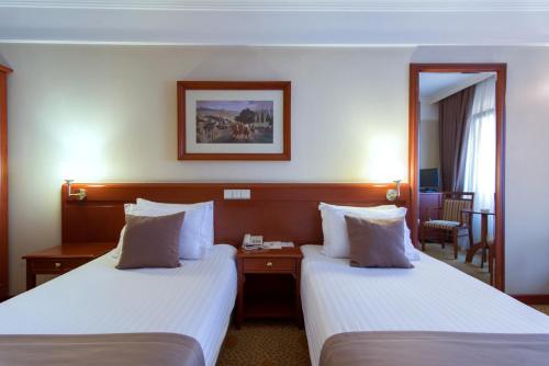 Dila Hotel, Istanbul (photo 6)