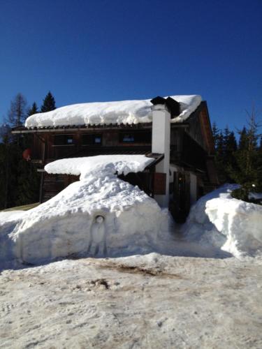  Chalet Dolomiti 7 rooms, Unterkunft in Danta