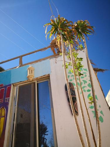 زقاق DAHAB Camp