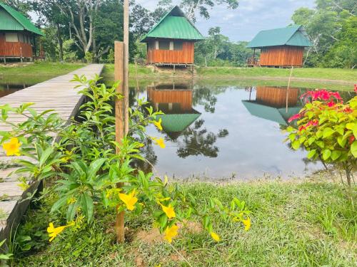 Sunrise of Tambopata in เปอร์โต้ มัลโดนาโด้