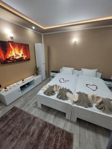 B&B Valjevo - Stan na Dan Jovanovic - Bed and Breakfast Valjevo