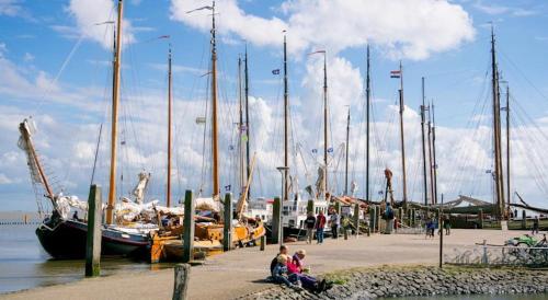 4 sterren Appartement 't STRANDHUYS Amelander - Kaap met ZWEMBAD - image 11