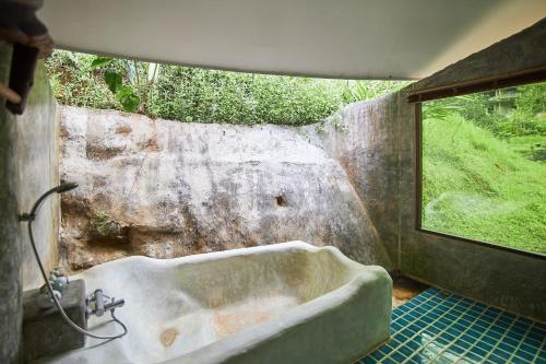 Forest falls Garden Maerim Chiangmai ตาดปลาแคมป์ออร์แกนิคฟาร์มสเตย์เชียงใหม่ Forest falls Garden Maerim Chiangmai ตาดปลาแคมป์ออร์แกนิคฟาร์มสเตย์เชียงใหม่