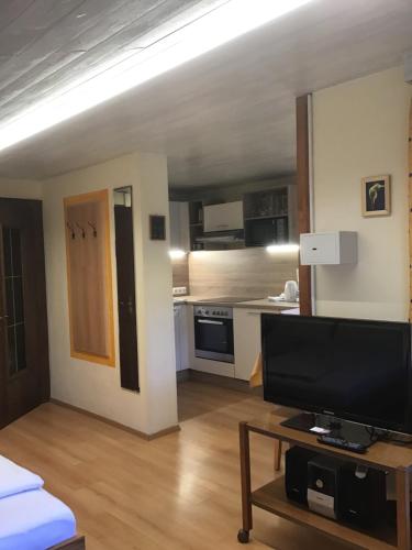 Alpbach Apartments - image 3