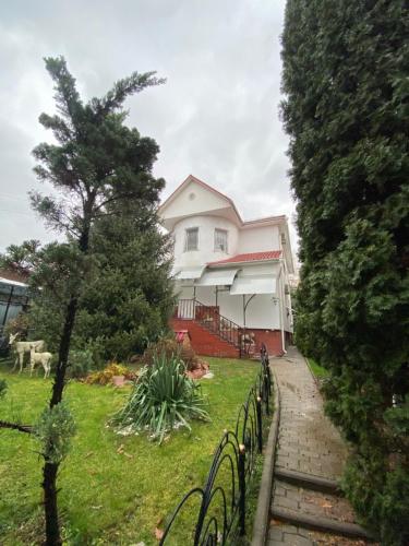 Terra Hostel