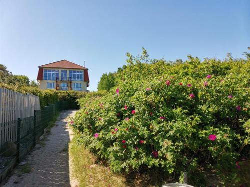 Hotellet från utsidan, Kleine Ferienwohnung am Strand in Kühlungsborn (Kleine Ferienwohnung am Strand in Kuhlungsborn) in Ostseebad Kühlungsborn