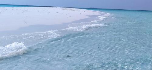 Himandhoo Travel & Stays photo 2