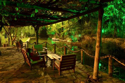 Dalya Life - image 4