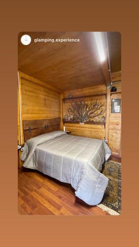 CHALET NEL BOSCO - TENUTA BOCCHINERI in Rogliano