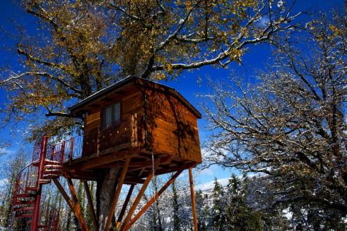  Casa sull´albero Bocchineri in Rogliano