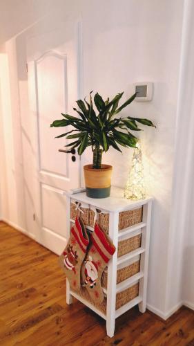 Vakantiehuisje Vechtdal in Buurtschap Stegerveld